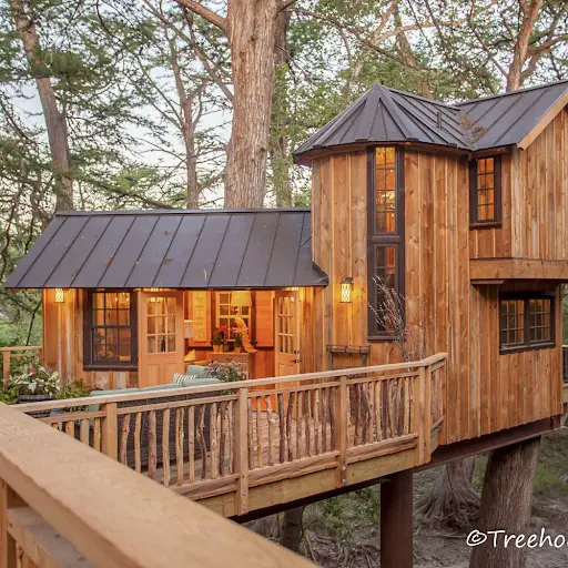 Treehouse Utopia Texas Treehouse Rental