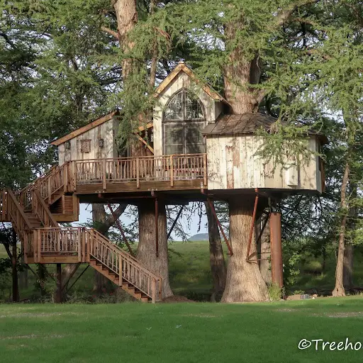 Utopia Texas Treehouse Rental in Daylight