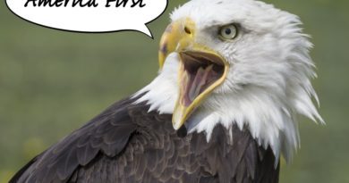 America First Republican Platform on abortion