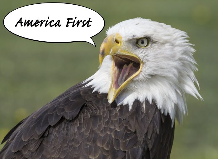 America First Republican Platform on abortion