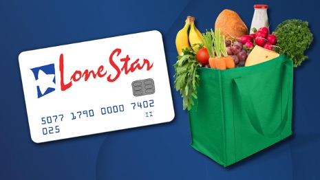 Texas Lone Star SNAP card next to a grocery bag of fresh food
